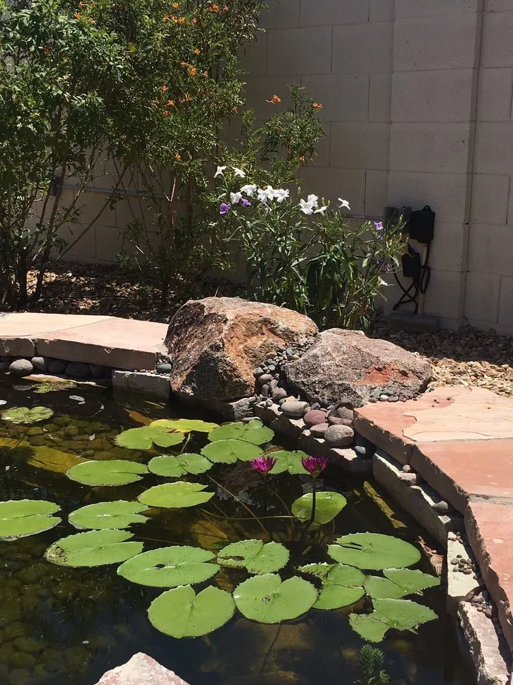 Custom garden landscaping in Queen Creek, AZ by Pondscapes