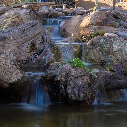 Top-rated lawn mowing service in Queen Creek, AZ - Pondscapes