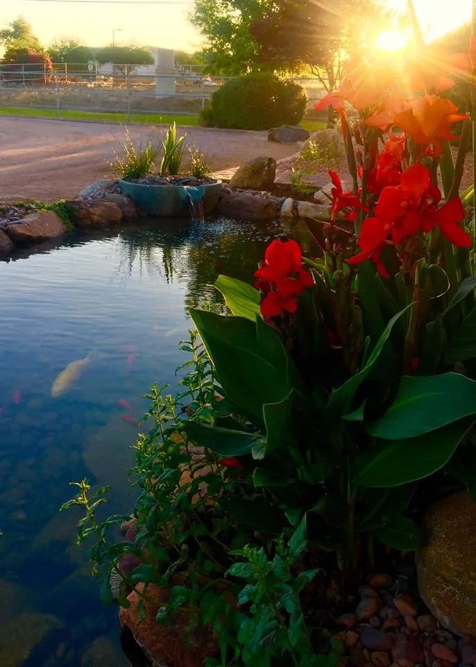 Trusted garden landscaping experts serving Queen Creek, AZ - Pondscapes
