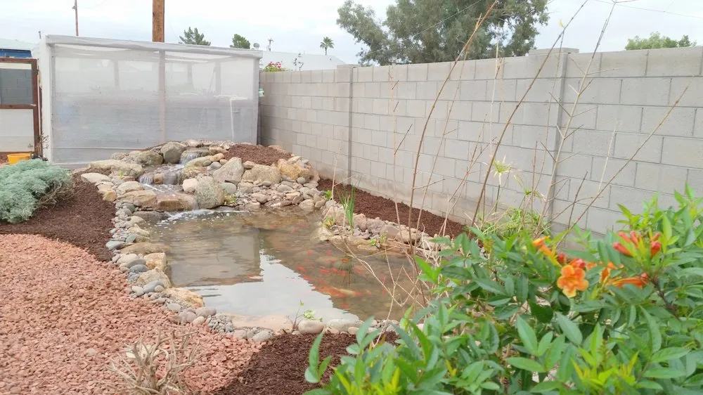 Custom yard cleanup service in Queen Creek, AZ by Pondscapes
