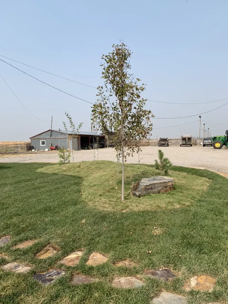 Affordable landscape installation in Rigby, ID by Pondside Property Services