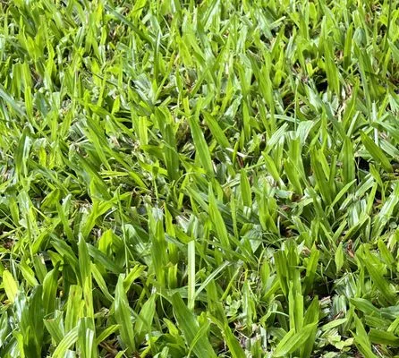 Pono Aina Lawn Care Services Logo