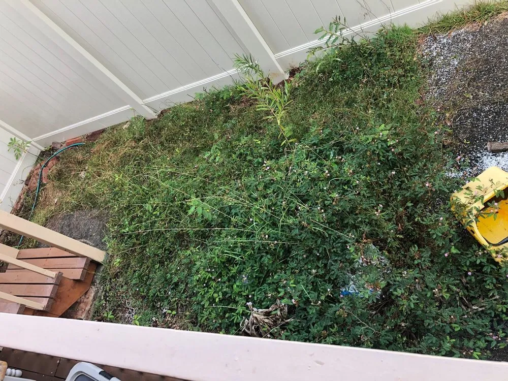 Reliable landscape design for beautiful yards in Kahuku, HI by Pono Landscaping