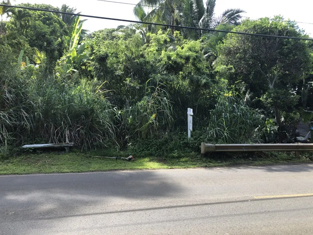 Trusted yard cleanup service for beautiful yards in Kahuku, HI by Pono Landscaping