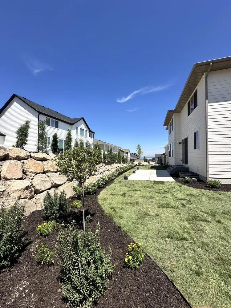 Affordable landscaping services for beautiful yards in San Clemente, CA by Pono Landscaping