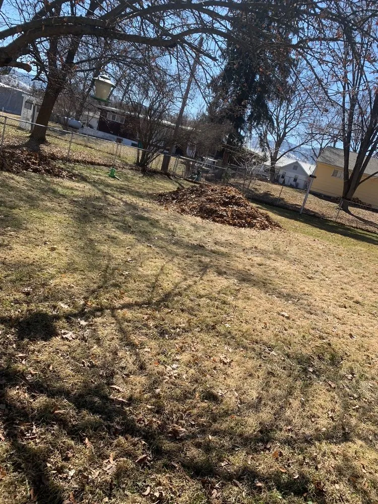 Professional lawn care service in Missoula, MT - Ponos environmental services