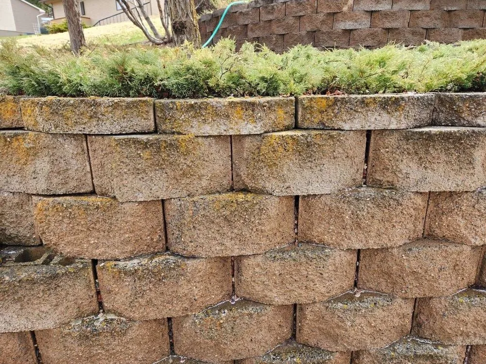 Reliable lawn care service in Missoula, MT - Ponos environmental services