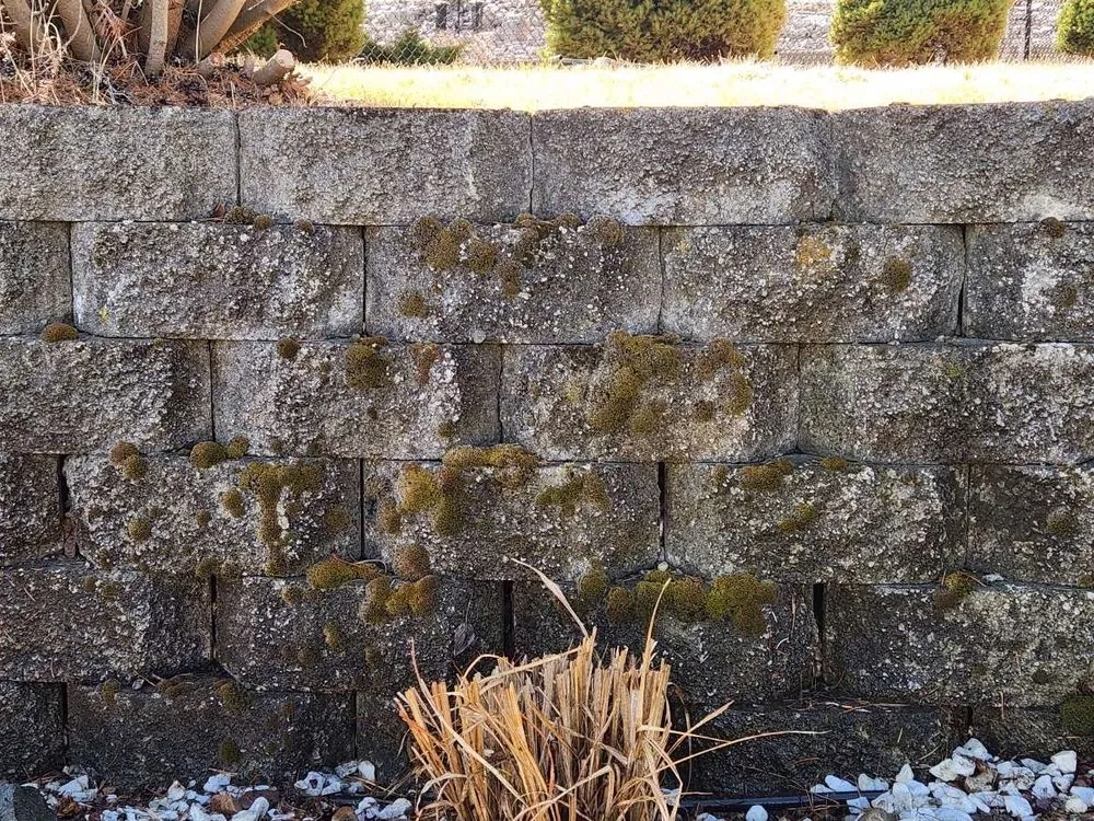 Professional outdoor landscaping experts serving Missoula, MT - Ponos environmental services