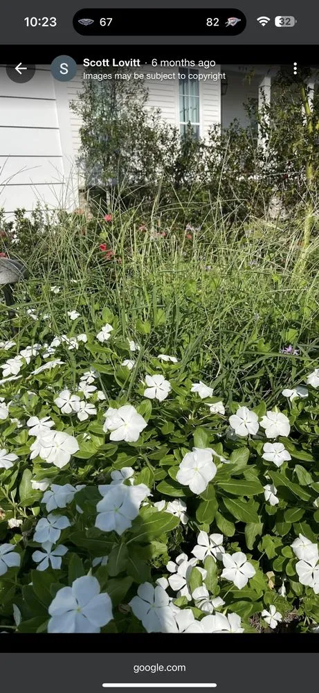 Affordable landscaping services experts serving New Orleans, LA - Ponseti Landscaping