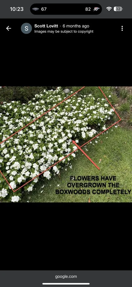 Reliable landscaping services near you in New Orleans, LA by Ponseti Landscaping