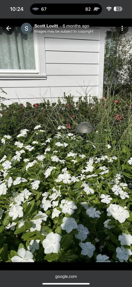 Expert yard maintenance in New Orleans, LA by Ponseti Landscaping