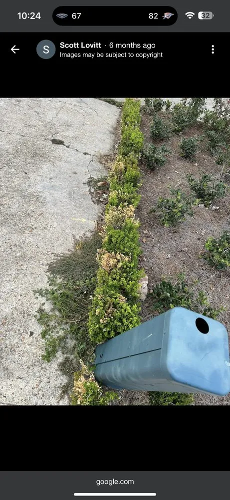 Custom landscaping services in New Orleans, LA by Ponseti Landscaping