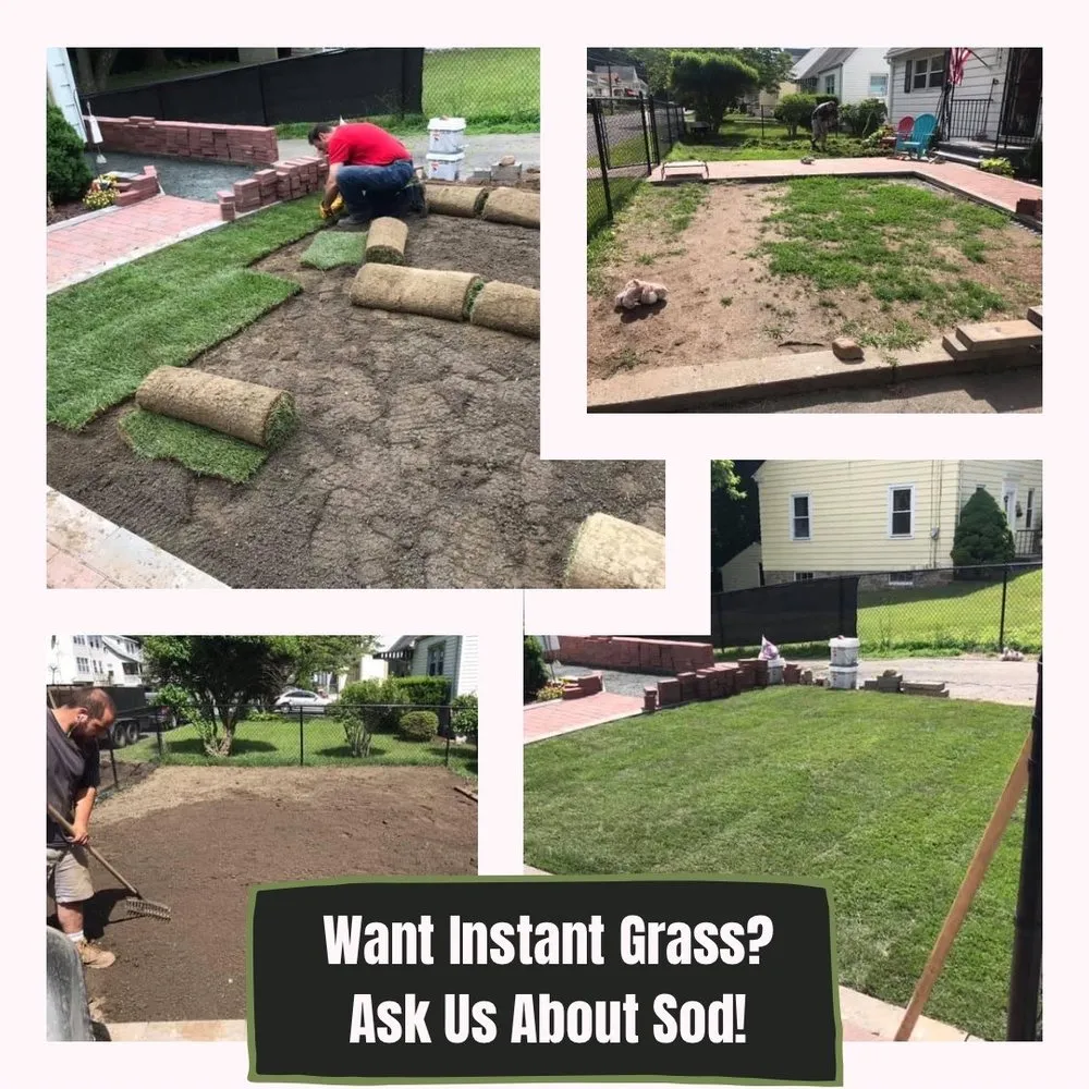 Trusted lawn mowing service near you across Shelton, CT - Pontillo’s landscape and design