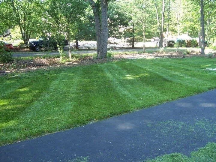 Reliable yard maintenance experts serving Shelton, CT - Pontillo’s landscape and design