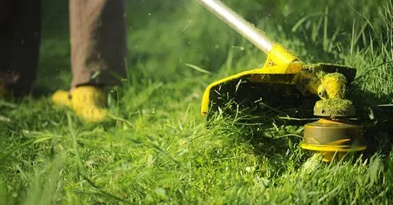 Professional yard maintenance experts serving Atco, NJ - Pontonio's Lawn Service