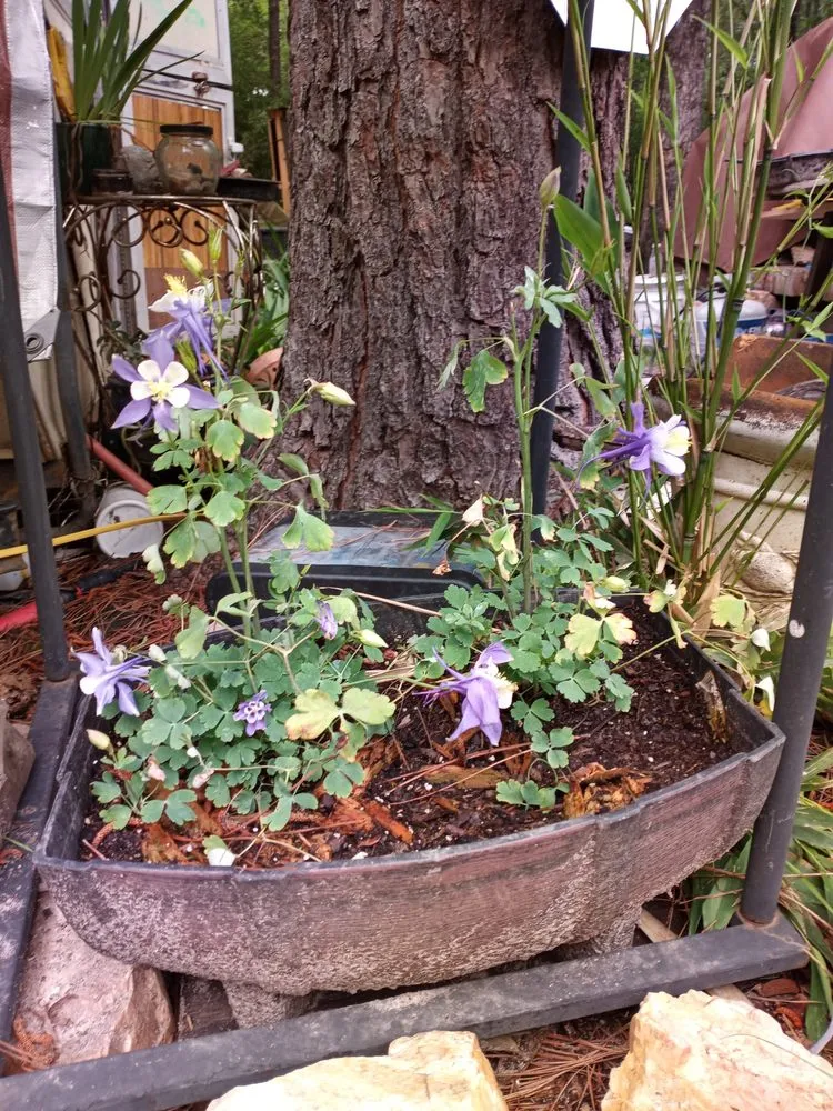 Expert garden landscaping experts serving Phenix City, AL - Ponytails And Paint Pails