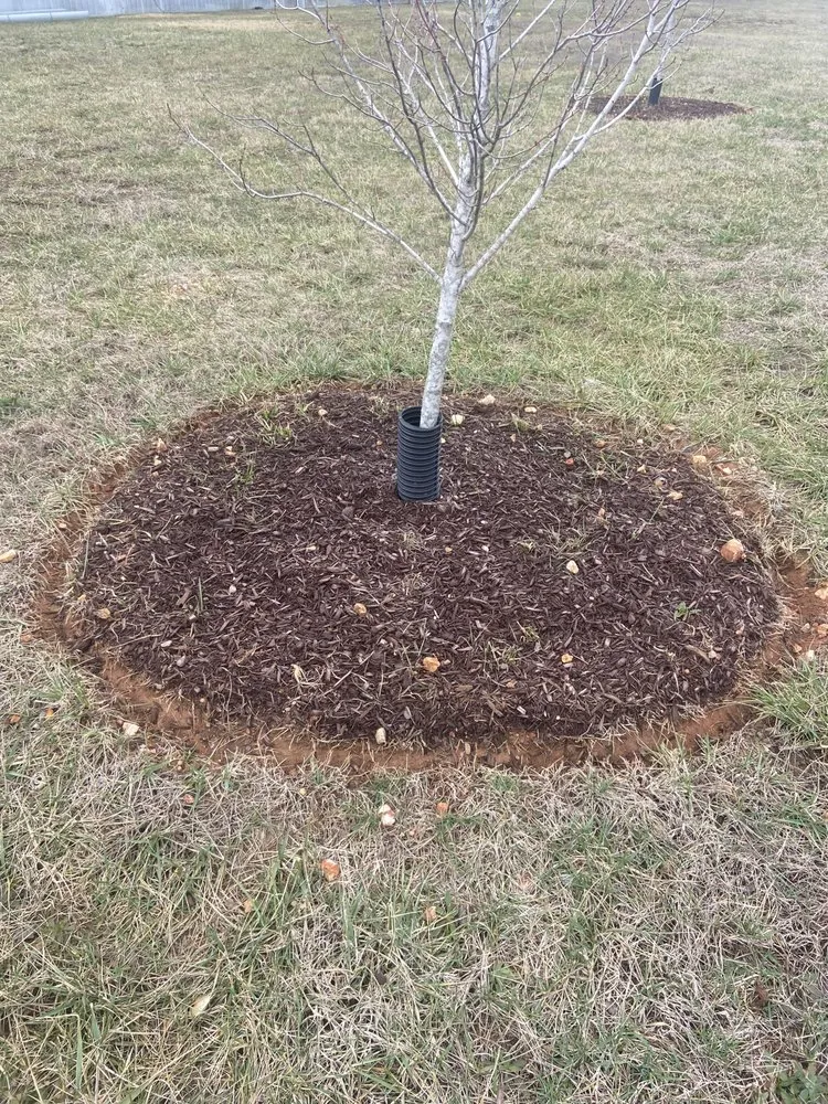 Top-rated residential landscaping with custom design in Clarksville, TN by Poof Trash Services