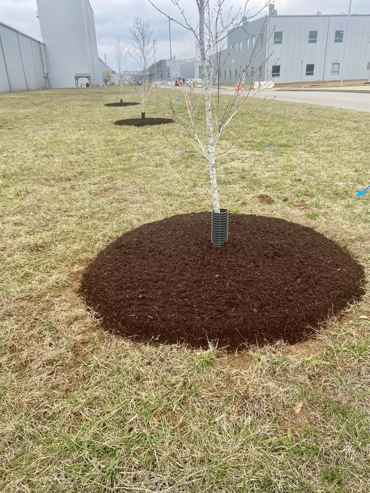 Reliable garden landscaping experts serving Clarksville, TN - Poof Trash Services