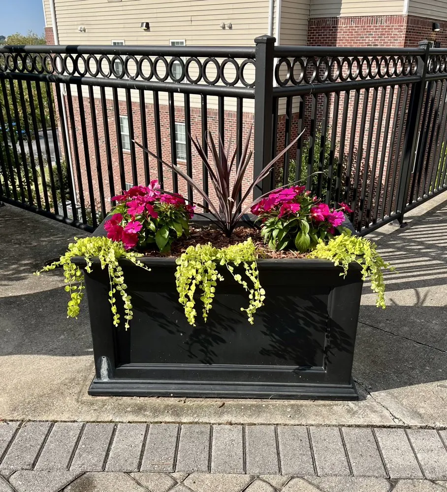 Affordable lawn care service in Clarksville, TN - Poof Trash Services