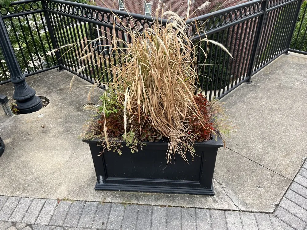 Custom landscaping services in Clarksville, TN - Poof Trash Services