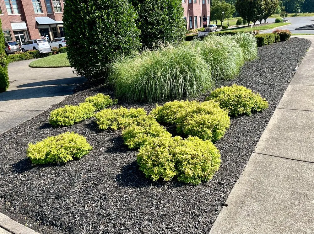 Affordable landscape installation for year-round maintenance across Clarksville, TN - Poof Trash Services