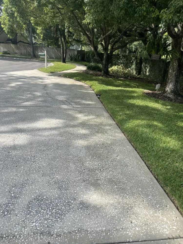 Custom yard cleanup service experts serving Tampa, FL - Pooh's Lawncare