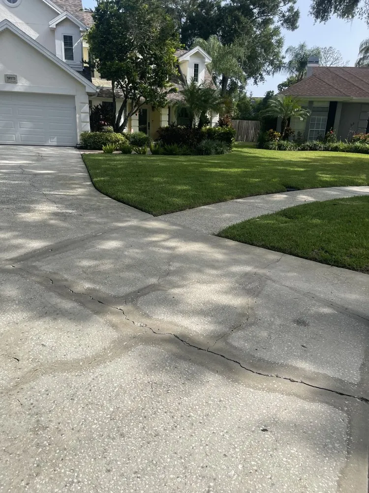 Local landscape installation in Tampa, FL - Pooh's Lawncare