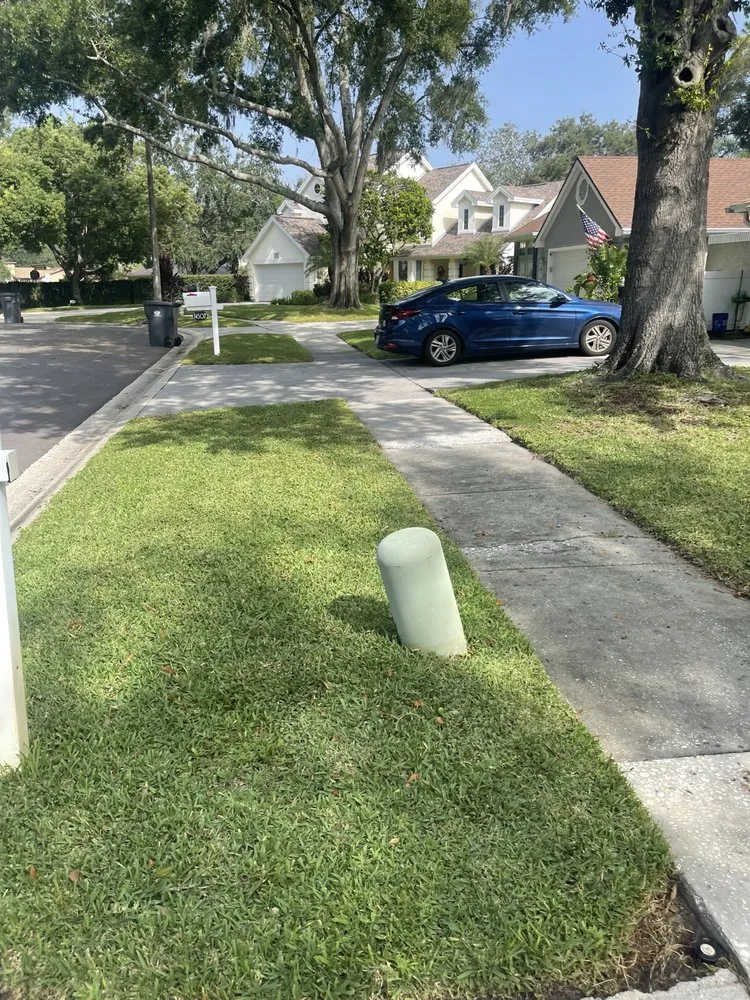 Reliable landscaping services for year-round maintenance across Tampa, FL - Pooh's Lawncare