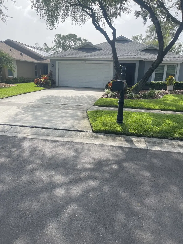 Local landscape installation in Tampa, FL by Pooh's Lawncare