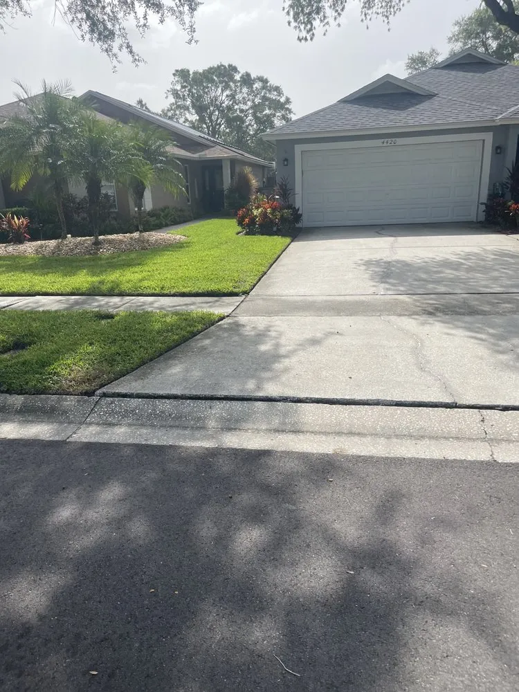 Professional landscape installation for year-round maintenance in Tampa, FL by Pooh's Lawncare