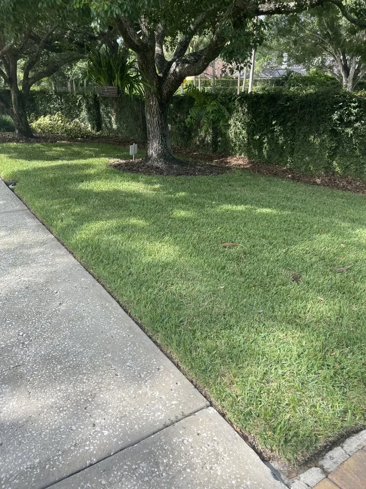 Trusted outdoor landscaping for homes across Tampa, FL - Pooh's Lawncare