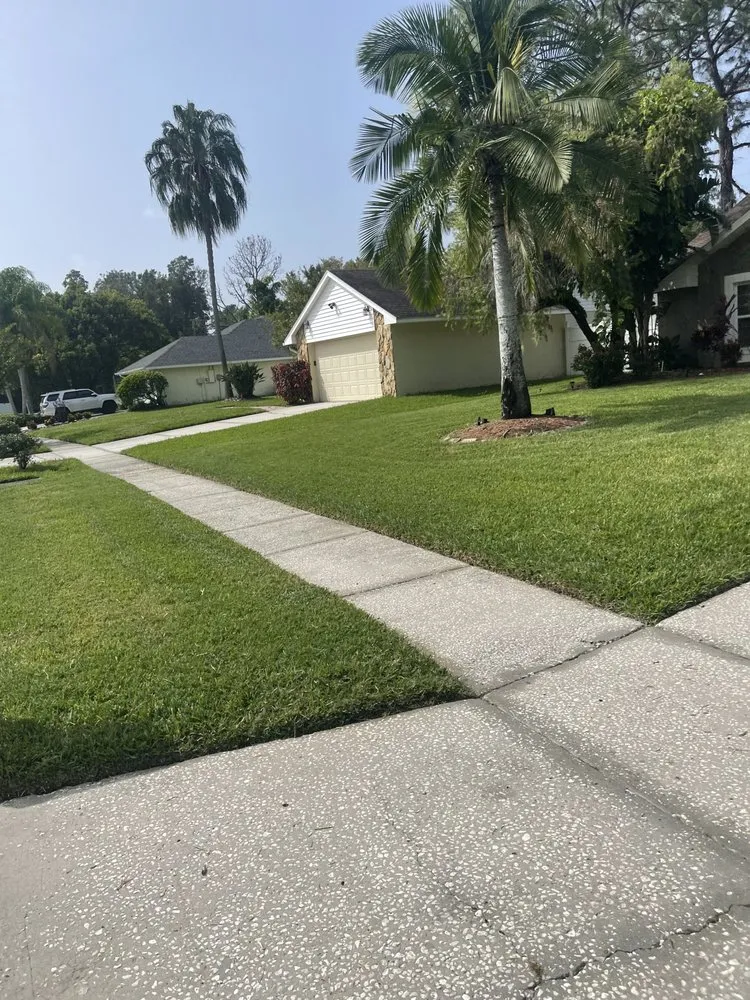 Top-rated lawn care service for outdoor upgrades across Tampa, FL - Pooh's Lawncare