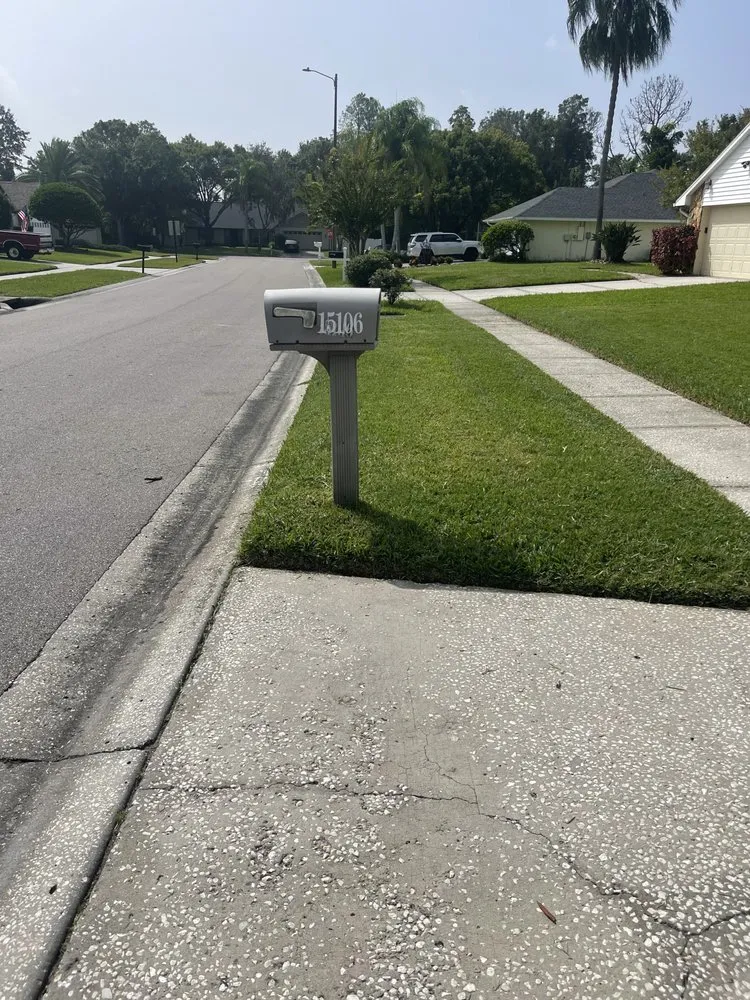 Affordable outdoor landscaping for outdoor upgrades in Tampa, FL by Pooh's Lawncare