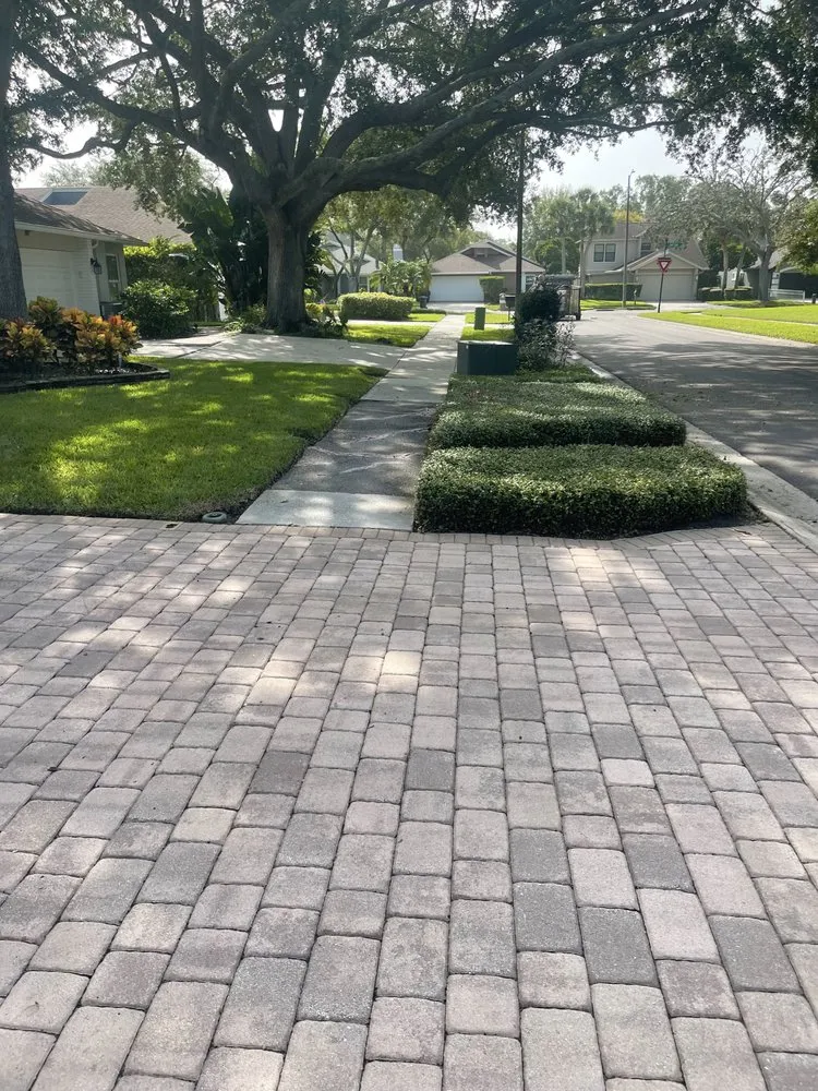 Professional landscaping services experts serving Tampa, FL - Pooh's Lawncare