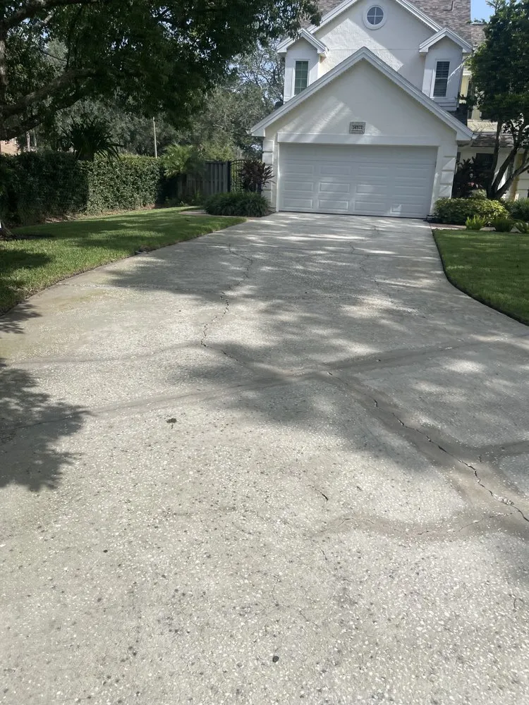 Local landscaping services in Tampa, FL by Pooh's Lawncare