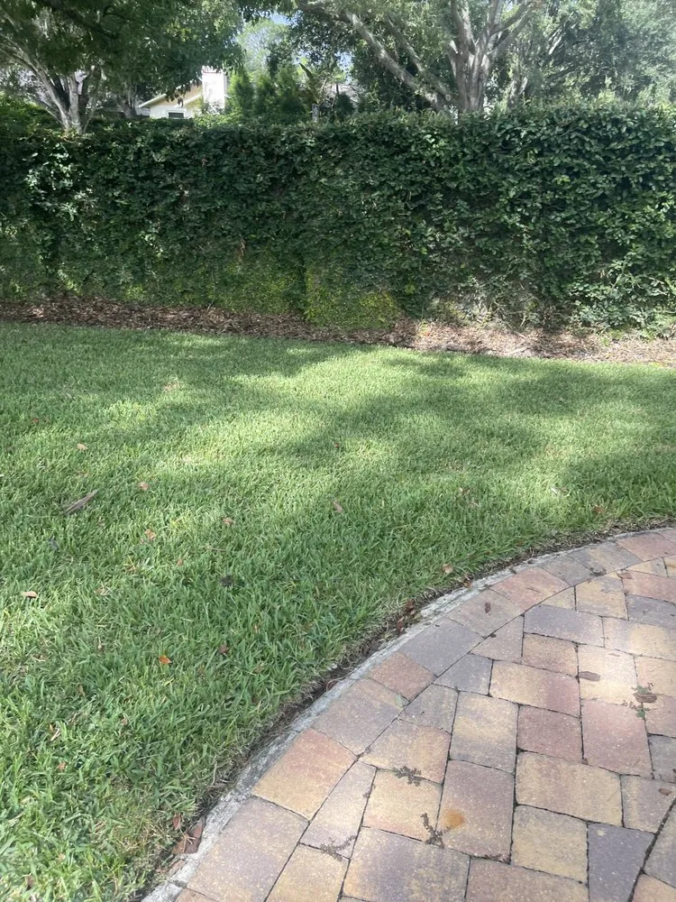 Professional lawn care service experts serving Tampa, FL - Pooh's Lawncare