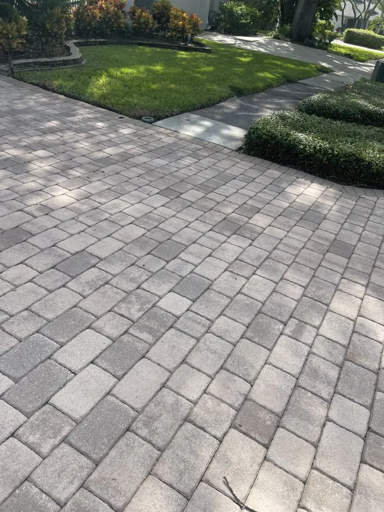 Expert lawn care service in Tampa, FL - Pooh's Lawncare