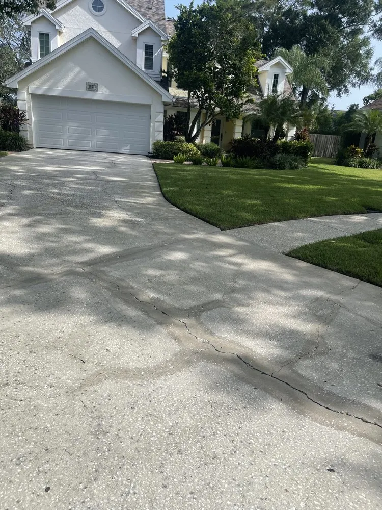 Reliable residential landscaping in Tampa, FL - Pooh's Lawncare