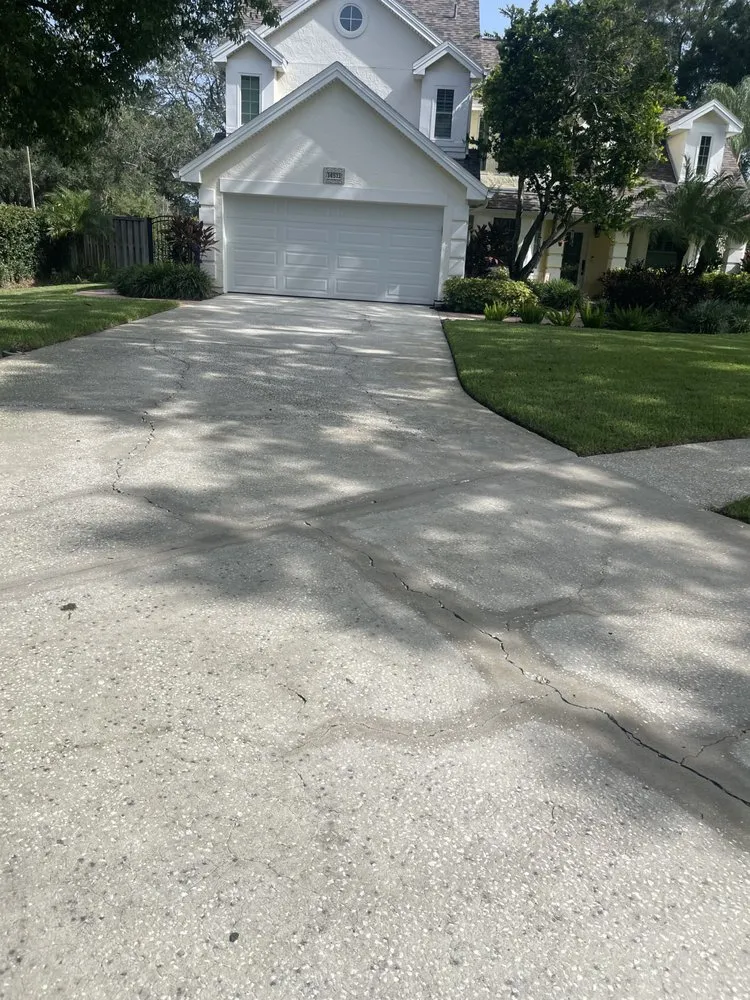 Top-rated lawn care service experts serving Tampa, FL - Pooh's Lawncare