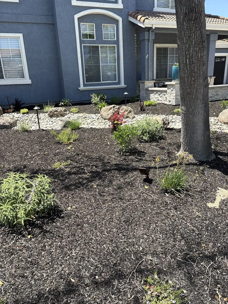 Top-rated landscape installation with custom design in Brentwood, CA by Pool & Landscape Development