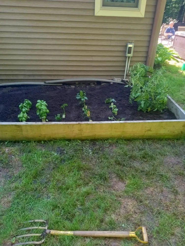 Trusted yard cleanup service for outdoor upgrades in Saratoga Springs, NY by Pool and spa P.A.