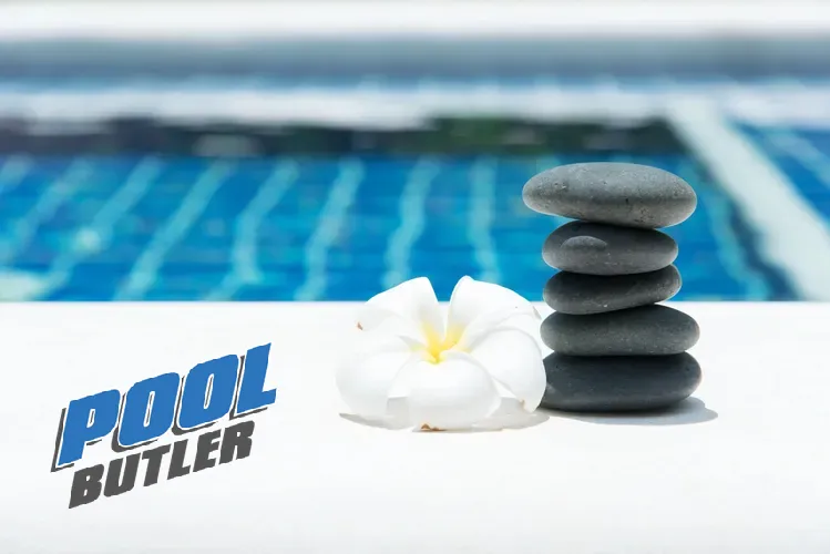 Professional lawn care service in Lake Dallas, TX - Pool Butler