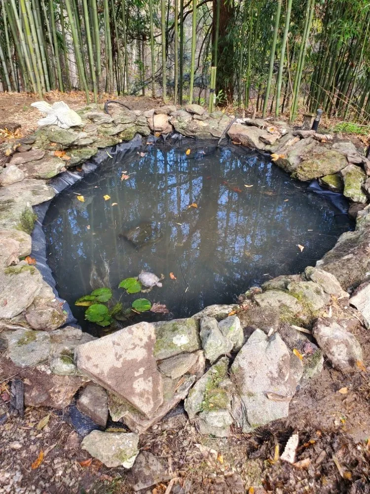 Custom yard cleanup service experts serving whiteford, MD - Pool Pond and Beyond