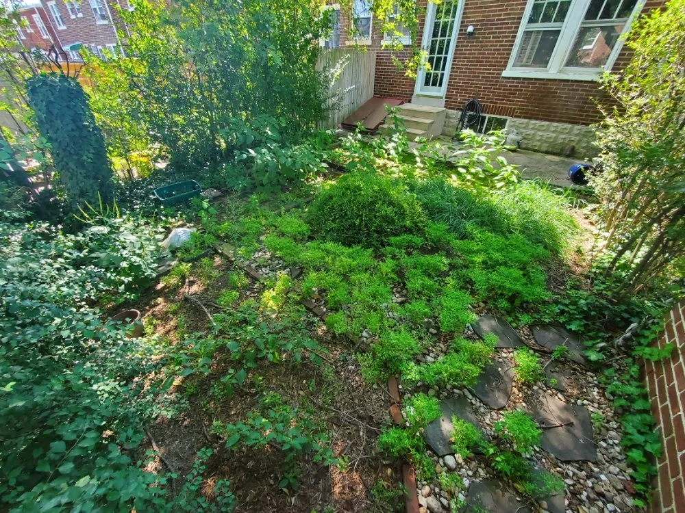 Expert landscape design in whiteford, MD by Pool Pond and Beyond