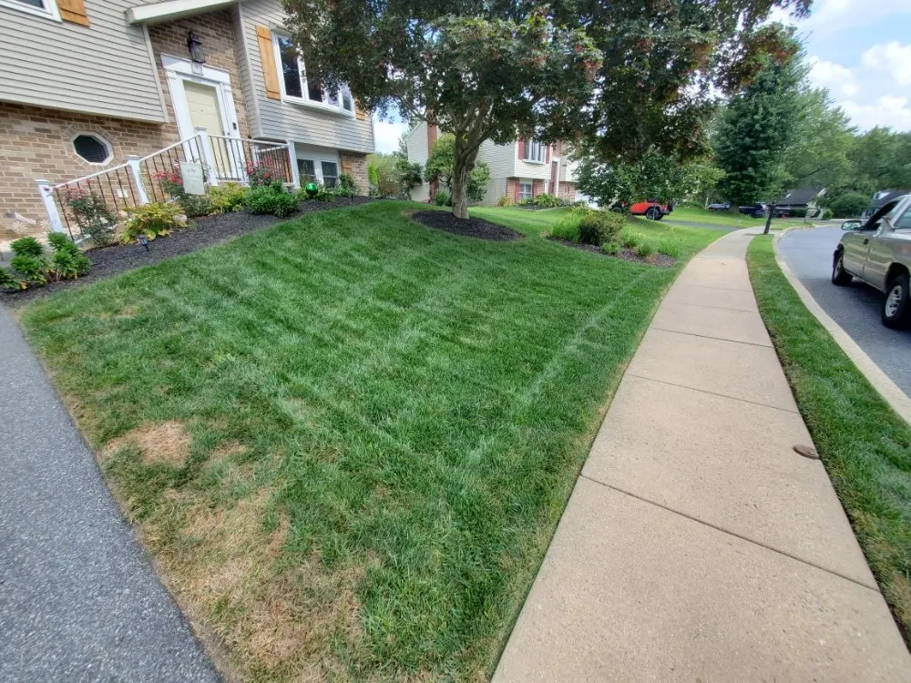 Top-rated outdoor landscaping in whiteford, MD by Pool Pond and Beyond