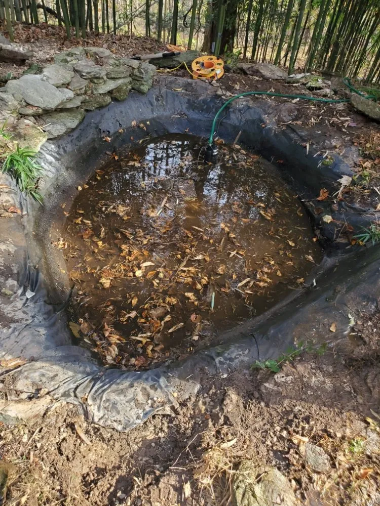 Top-rated outdoor landscaping with custom design across whiteford, MD - Pool Pond and Beyond