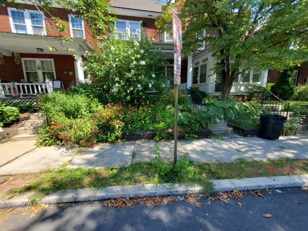 Expert lawn care service for residential properties across whiteford, MD - Pool Pond and Beyond