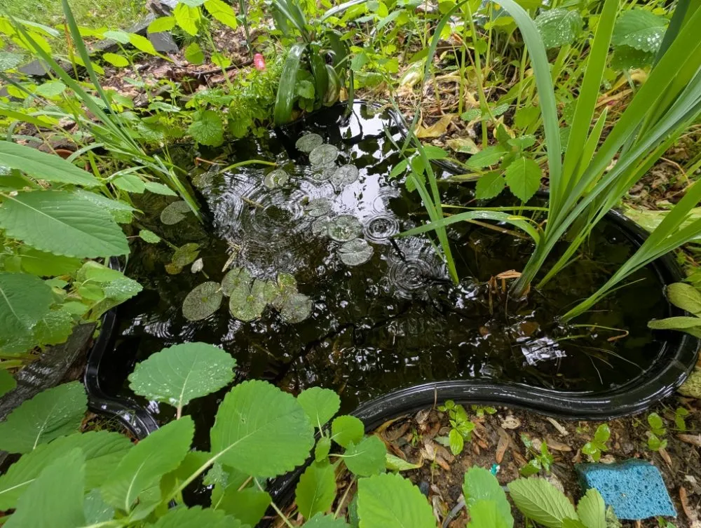 Affordable landscape installation experts serving whiteford, MD - Pool Pond and Beyond