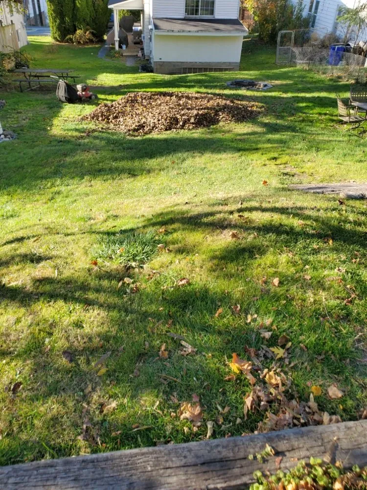 Local landscape design for outdoor upgrades in whiteford, MD by Pool Pond and Beyond