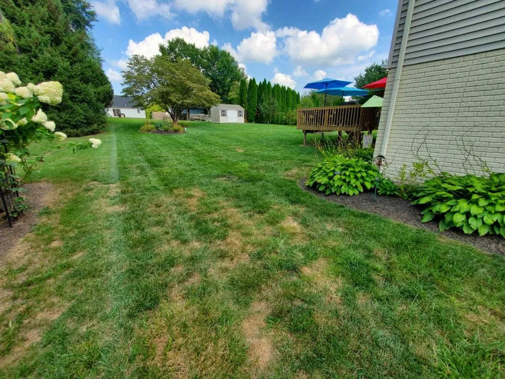 Top-rated lawn mowing service with custom design in whiteford, MD by Pool Pond and Beyond